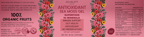 Antioxidant Sea Moss Gel