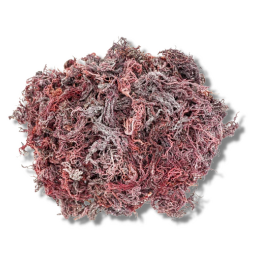 Organic Purple Dry Sea Moss Wholesale