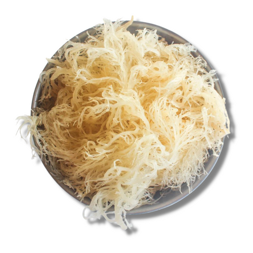 Organic Gold Sea Moss Whole Sale 5lb & 10lb