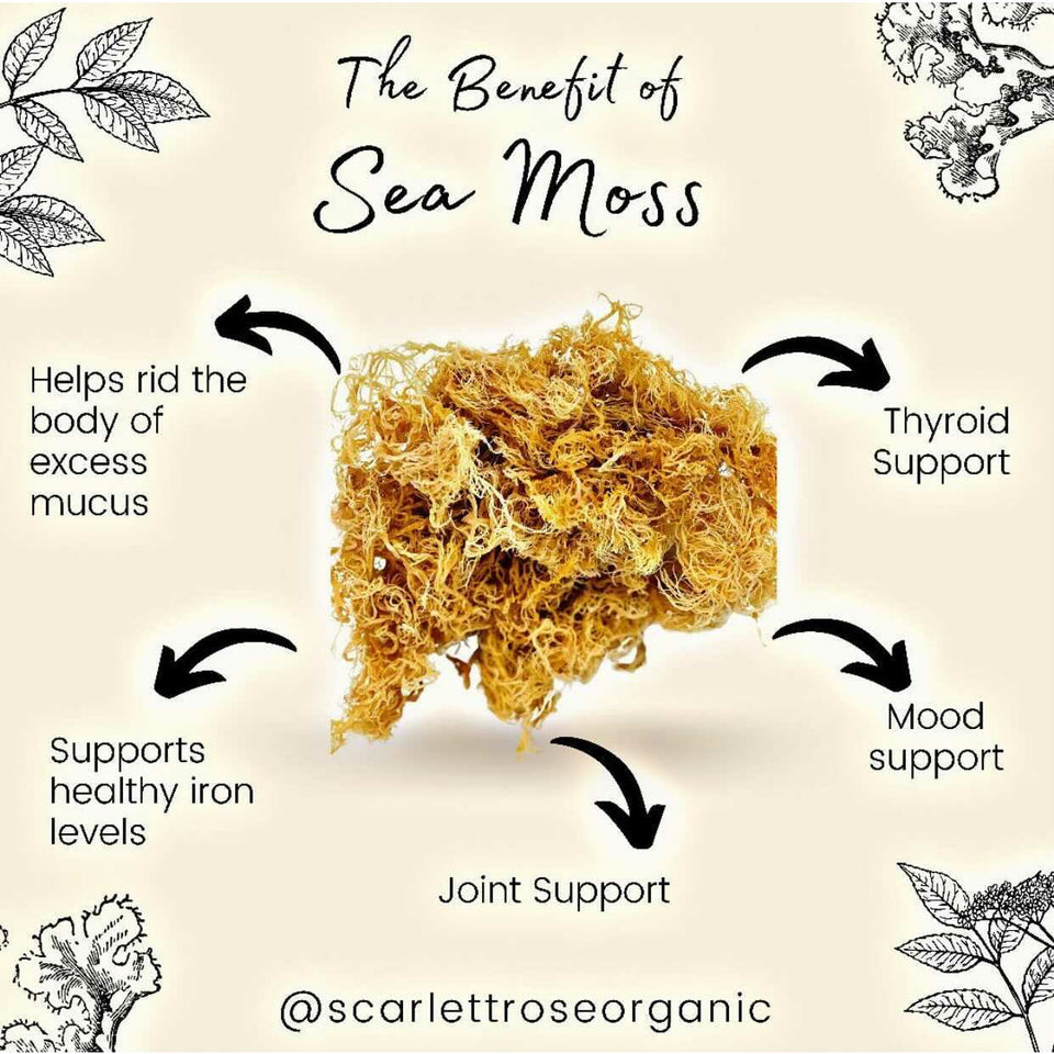 Organic Gold Sea Moss Gel