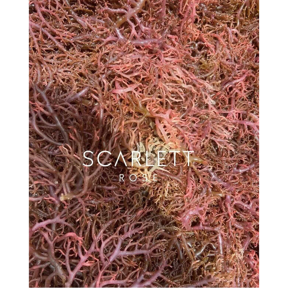 Organic Dry Purple Sea Moss
